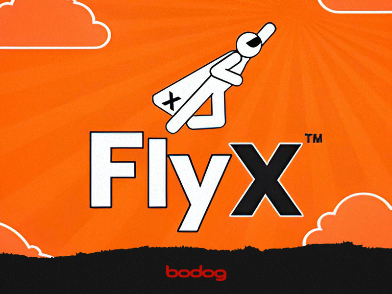 Guía de Fly X: lo que necesitas saber para ganar